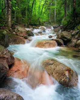 Watercourse Prints: Cascade on Falling Waters Trail