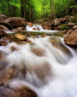 Watercourse Prints: Cascade on Falling Waters Trail