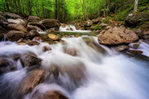 Watercourse Prints: Cascade on Falling Waters Trail