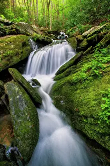 Tennessee Prints: Cascade in spring, Great Smoky Mountains, Tennessee, USA