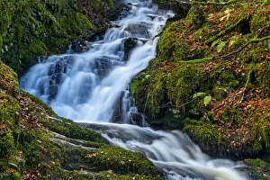 Aberfeldy Gallery: Cascading Waterfall in Autumn, Birks of Aberfeldy, Perth & Kinross, Scotland
