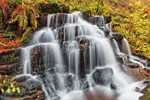 Autumnal Prints: Cascading Waterfall, Birks of Aberfeldy in Autumn, Perthshire, Scotland