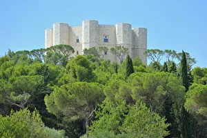 Octagonal Prints: Castel del Monte castle, Andria province, Apulia region, Italy, Europe