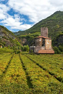 Torrent Prints: Castel Novale among the vineyards Europe, Italy, South Tyrol, Sarentino valley, Bolzano
