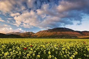 Norcia Prints: Castelluccio di Norcia, Sibillini national park, Umbria, Italy