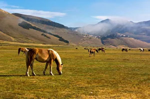 Castelluccio di Norcia, Umbria region, Perugia province, Italy, Europe Castelluccio di Norcia, Umbria region, Perugia province, Italy, Europe
