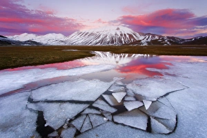 Images Dated 2012 December: 