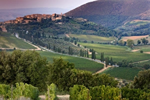 Mediteranean Country Gallery: Castelnuovo del Abate