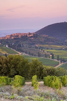 Mediteranean Country Prints: Castelnuovo del Abate, Tuscany, Italy