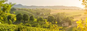 Emilia Prints: Castelvetro di Modena, panoramic view of hills and green trees at sunset