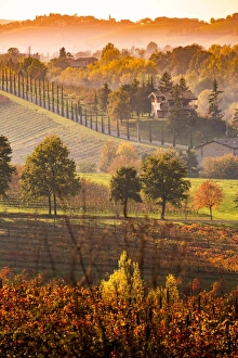Emilia Prints: Castelvetro, Modena, Emilia Romagna