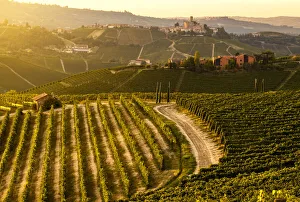 Agricultures Gallery: Castle on the hill following a dirt path, Castiglione Falletto, Piedmont, Italy