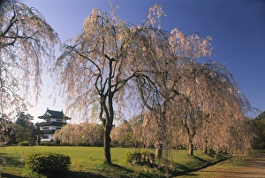 Hirosaki Prints: Castle, Hirosaki