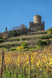 Grand Est Prints: Castle, Kaysersberg, Haut-Rhin, Alsace, Grand Est, France