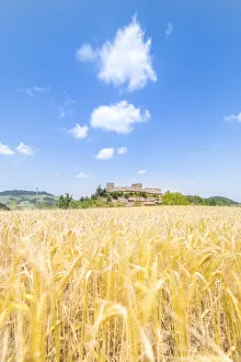 Appennino Prints: The castle of Montesegale, Oltrepo Pavese, province of Pavia, Apennines, Lombardy