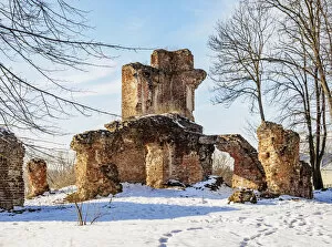 Castle and Palace ruins, winter, Zawieprzyce, Lublin Voivodeship, Poland