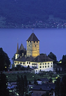 Castle, Spiez