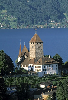 Lake Thun Prints: Castle, Spiez