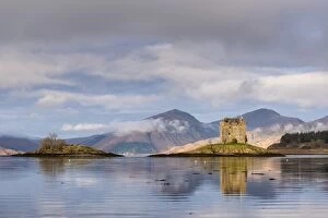 Images Dated 2nd December 2016: Castle Stalker reflected in Loch Linnhe, Scottish Highlands, Scotland