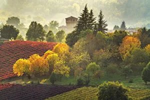 Images Dated 30th March 2021: Castle and Vineyards in autumn, Castelvetro di Modena, Italy