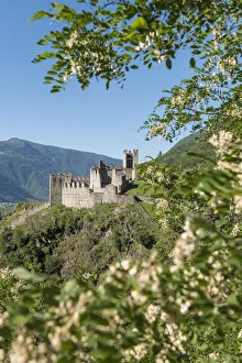 Sondrio Prints: The Castle Visconti Venosta of Grosio, Province of Sondrio, Valtellina, Europe