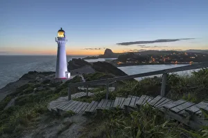 Castlepoint lighthouse lit in purple at dusk. Castlepoint, Wairarapa region, North Island