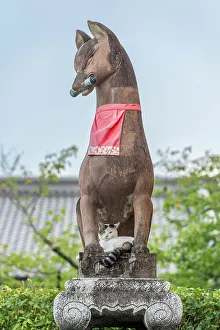 Mark Square Prints: Cat under Guarding dog statue at Fushimi-Inari, Kyoto, Japan