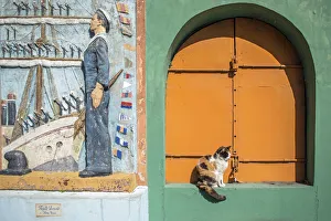 Caminito Prints: A cat in a niche in Caminito street of La Boca, Buenos Aires, Argentina, South America