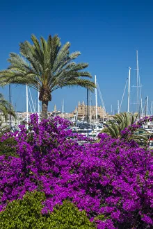Cathedral La Seu & harbour, Palma, Mallorca, Balearic Islands, Spain