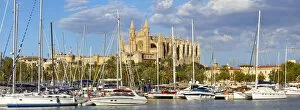 Images Dated 23rd November 2011: Cathedral La Seu, Palma de Mallorca, Mallorca, Balearic Islands, Spain