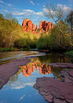 Desolate Prints: Cathedral Rock reflection in Coconino National Forest, Sedona, Arizona, USA