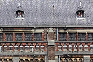 Haarlem Prints: Cathedral of Saint Bavo, Haarlem, Netherlands