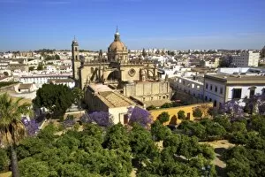 Images Dated 13th May 2014: The Cathedral of San Salvador with Blossoming Jacaranda Trees, Jerez de la Frontera