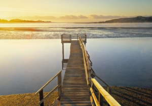 Australasian Prints: Catlin Coast