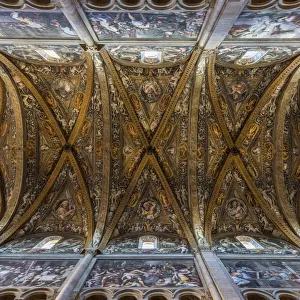 Emilia Romagna Prints: Cattedrale di Parma, Parma, Emilia-Romagna, Italy