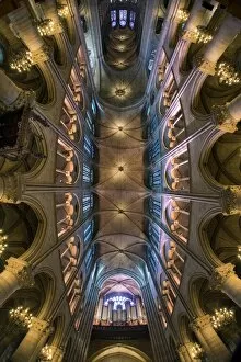 Images Dated 21st June 2017: Ceiling of the Notre Dame cathedral, Paris, France