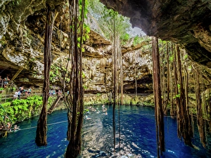 Roots Prints: Cenote Oxman, Valladolid, Yucatan State, Mexico