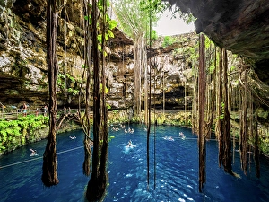 Roots Prints: Cenote Oxman, Valladolid, Yucatan State, Mexico