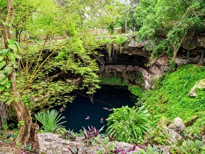 Cenote Prints: Cenote Zaci, Valladolid, Yucatan State, Mexico