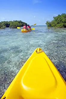 Central America, Belize, a point of view shot of kayaking through mangrove cayes in