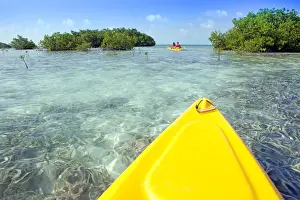 Canoeing Prints: Central America, Belize, a point of view shot of kayaking through mangrove cayes in