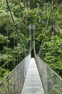 Images Dated 1st May 2015: Central America, Costa Rica, Alajuela, La Fortuna, Mistico Arenal Hanging Bridges Park