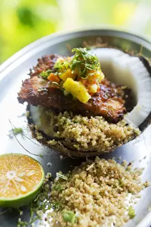 Dish Prints: Central America, Costa Rica, fried fish with couscous and mango served in a coconut