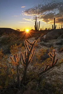 Images Dated 22nd February 2019: Central America, Mexico, Baja, Baja California, Sur, Catavina sunset