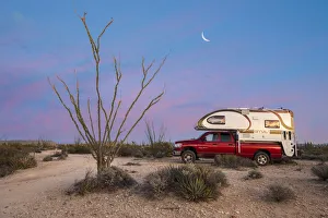 Central America, Mexico, Mexican, Baja, Baja California, Sur, Camping in the desert (DM)