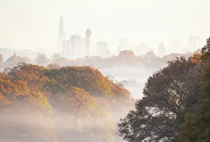 Vista Prints: Central London as seen from Richmond Park during misty autumn morning