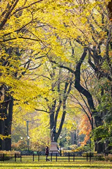 Central Park during autumn, Manhattan, New York, Usa (MR)