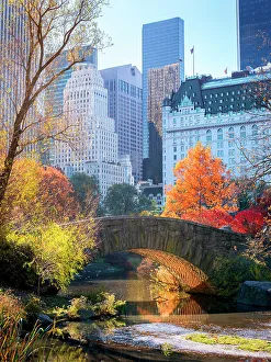 Central Park Prints: Central Park, Gapstow Bridge New York City, New York, USA