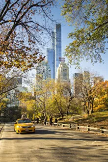 Images Dated 19th November 2015: Central Park, Manhattan, New York City, New York, USA