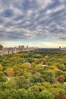 Sky Line Gallery: Central Park, Manhattan, New York City, USA
